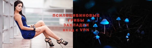 прущая мука Алзамай