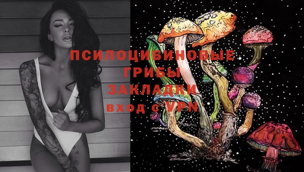 бошки Алексеевка