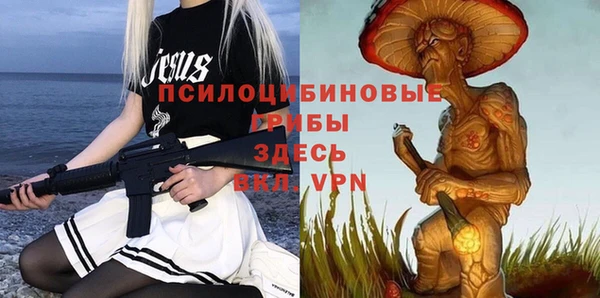 прущая мука Алзамай