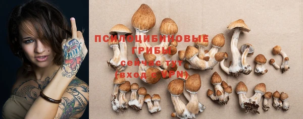 прущая мука Алзамай