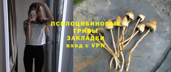 бошки Алексеевка